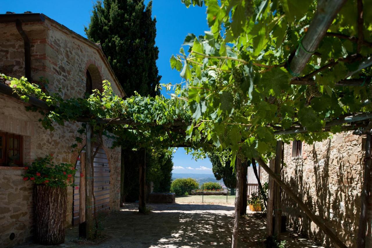 Villa Mandorlo - Pomaio Wines & Hospitality Arezzo Eksteriør bilde